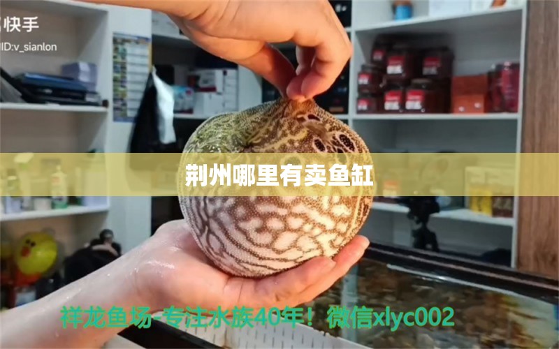 荊州哪里有賣魚缸