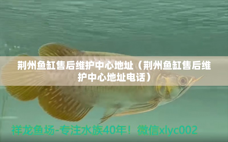 荊州魚缸售后維護(hù)中心地址（荊州魚缸售后維護(hù)中心地址電話）