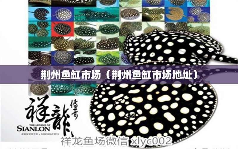 荊州魚缸市場（荊州魚缸市場地址） 其他品牌魚缸