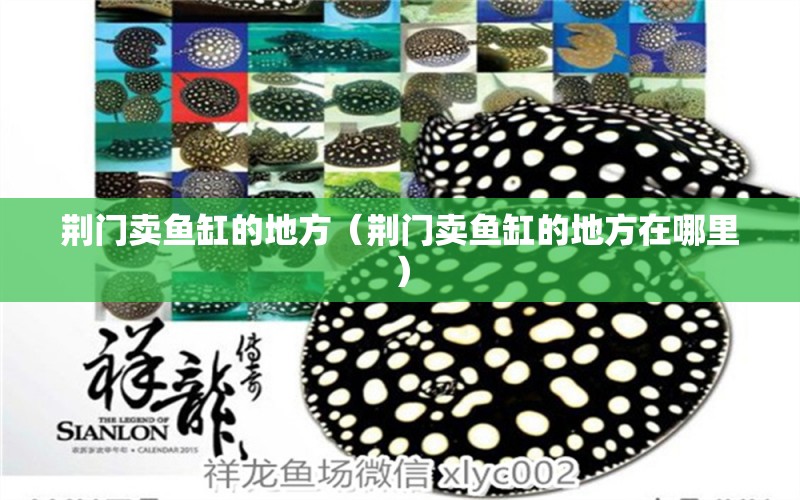 荊門賣魚缸的地方（荊門賣魚缸的地方在哪里） 其他品牌魚缸