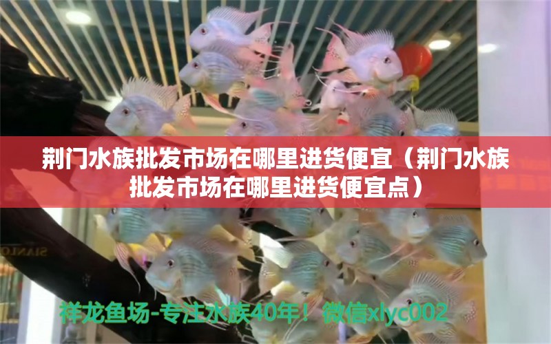 荊門水族批發(fā)市場在哪里進(jìn)貨便宜（荊門水族批發(fā)市場在哪里進(jìn)貨便宜點(diǎn)）