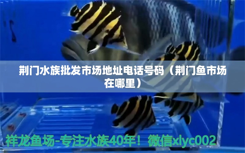 荊門水族批發(fā)市場地址電話號碼（荊門魚市場在哪里）