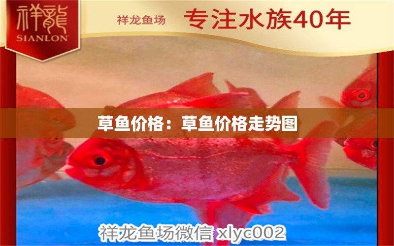 草魚價(jià)格：草魚價(jià)格走勢(shì)圖