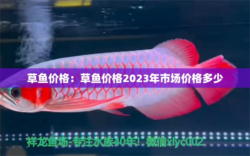 草魚價(jià)格：草魚價(jià)格2023年市場(chǎng)價(jià)格多少