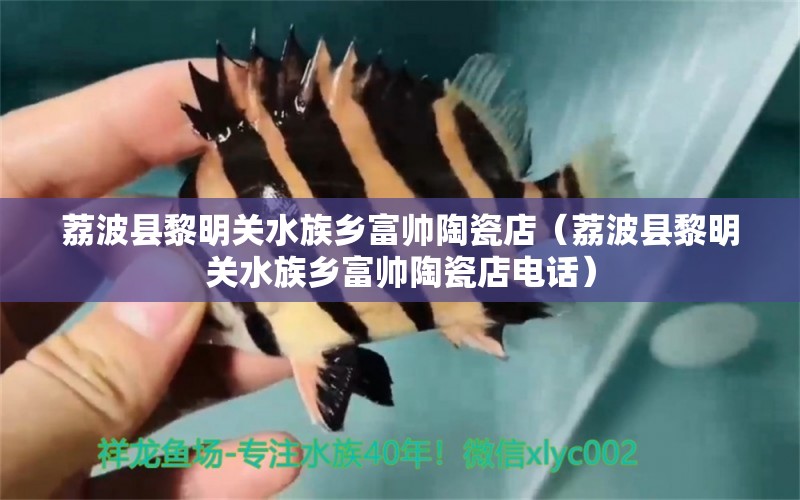 荔波縣黎明關(guān)水族鄉(xiāng)富帥陶瓷店（荔波縣黎明關(guān)水族鄉(xiāng)富帥陶瓷店電話） 全國水族館企業(yè)名錄