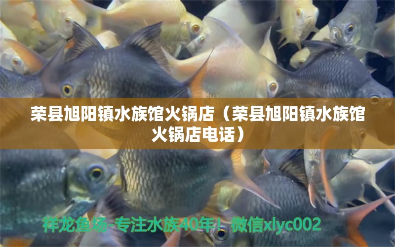 榮縣旭陽鎮(zhèn)水族館火鍋店（榮縣旭陽鎮(zhèn)水族館火鍋店電話）