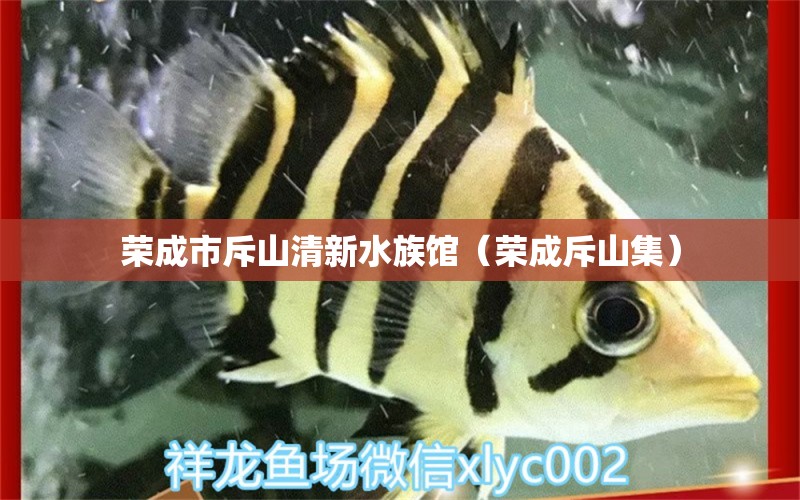 榮成市斥山清新水族館（榮成斥山集） 全國水族館企業(yè)名錄