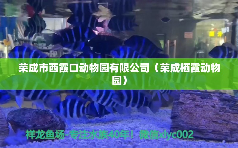 榮成市西霞口動物園有限公司（榮成棲霞動物園） 全國水族館企業(yè)名錄