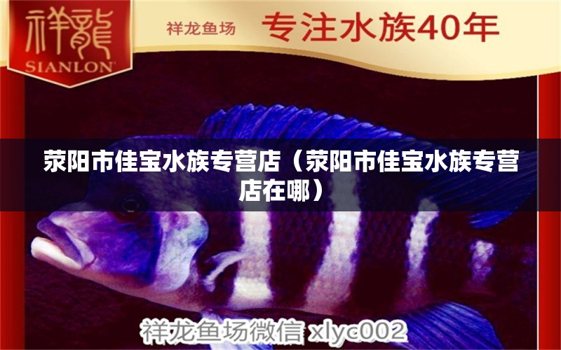 滎陽(yáng)市佳寶水族專營(yíng)店（滎陽(yáng)市佳寶水族專營(yíng)店在哪） 全國(guó)水族館企業(yè)名錄