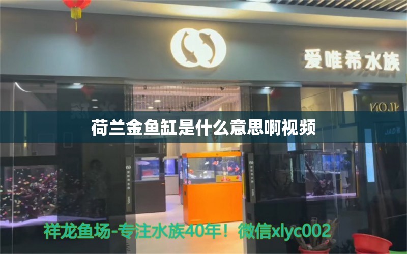 荷蘭金魚缸是什么意思啊視頻