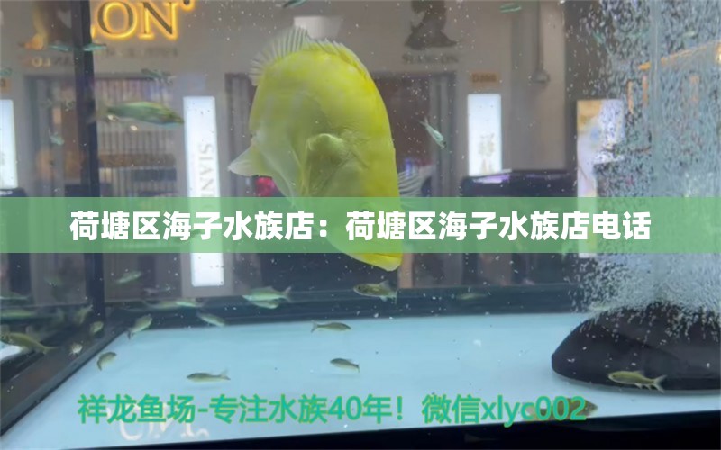 荷塘區(qū)海子水族店：荷塘區(qū)海子水族店電話 全國水族館企業(yè)名錄