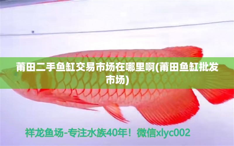 莆田二手魚缸交易市場(chǎng)在哪里啊(莆田魚缸批發(fā)市場(chǎng))