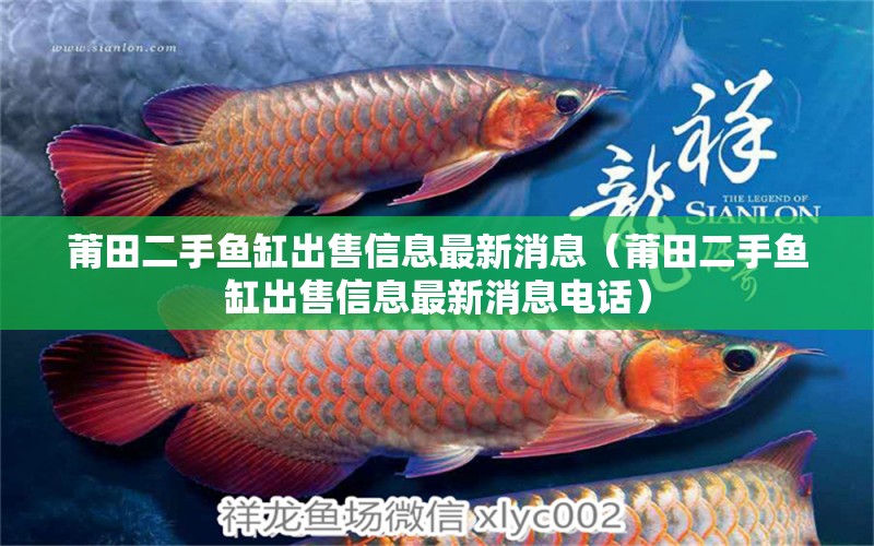 莆田二手魚缸出售信息最新消息（莆田二手魚缸出售信息最新消息電話） 祥龍魚場