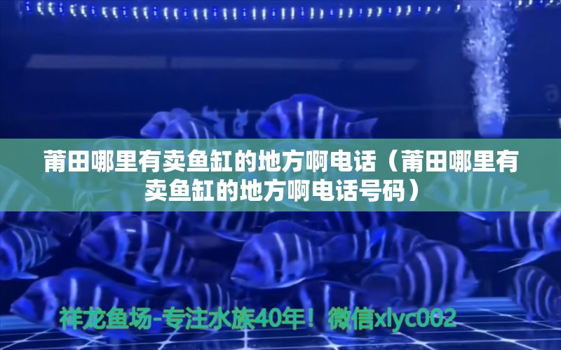 莆田哪里有賣魚缸的地方啊電話（莆田哪里有賣魚缸的地方啊電話號(hào)碼）