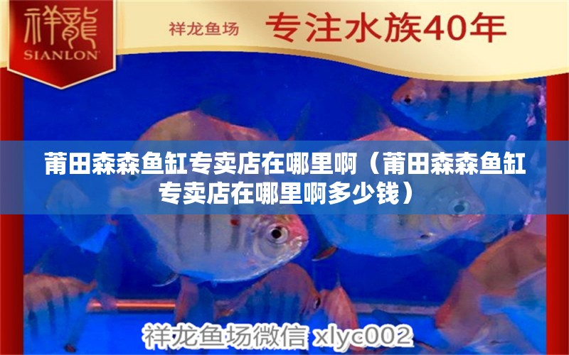 莆田森森魚缸專賣店在哪里?。ㄆ翁锷~缸專賣店在哪里啊多少錢）