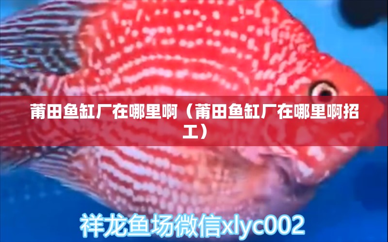 莆田魚缸廠在哪里?。ㄆ翁雉~缸廠在哪里啊招工）