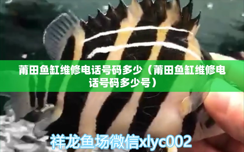 莆田魚缸維修電話號碼多少（莆田魚缸維修電話號碼多少號）