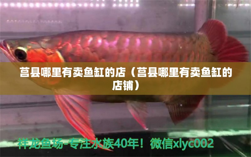 莒縣哪里有賣魚缸的店（莒縣哪里有賣魚缸的店鋪） 祥龍水族醫(yī)院