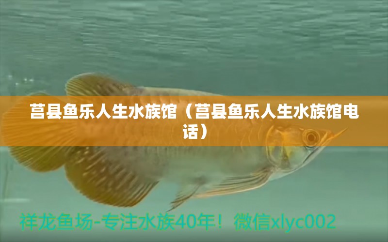 莒縣魚(yú)樂(lè)人生水族館（莒縣魚(yú)樂(lè)人生水族館電話(huà)） 全國(guó)水族館企業(yè)名錄