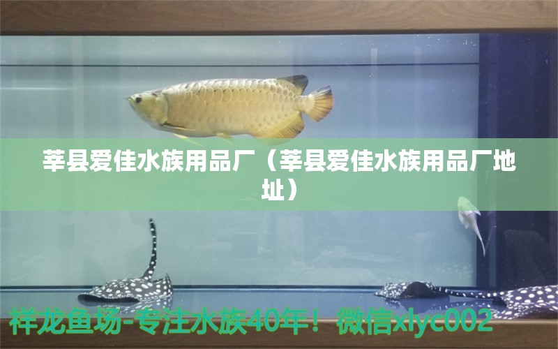 莘縣愛佳水族用品廠（莘縣愛佳水族用品廠地址） 水族用品