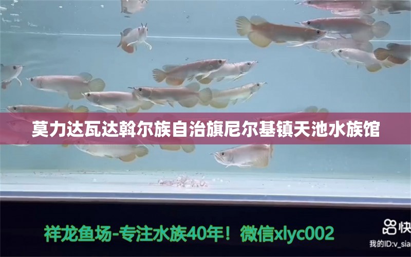 莫力達(dá)瓦達(dá)斡爾族自治旗尼爾基鎮(zhèn)天池水族館