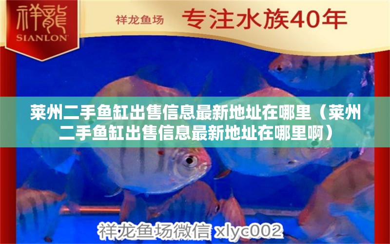 萊州二手魚缸出售信息最新地址在哪里（萊州二手魚缸出售信息最新地址在哪里?。? title=