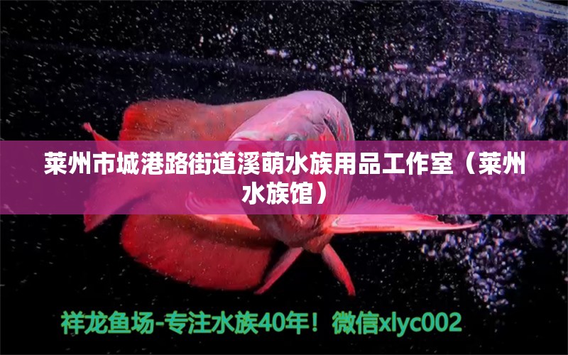 萊州市城港路街道溪萌水族用品工作室（萊州水族館）