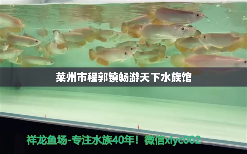 萊州市程郭鎮(zhèn)暢游天下水族館