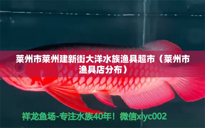 萊州市萊州建新街大洋水族漁具超市（萊州市漁具店分布）