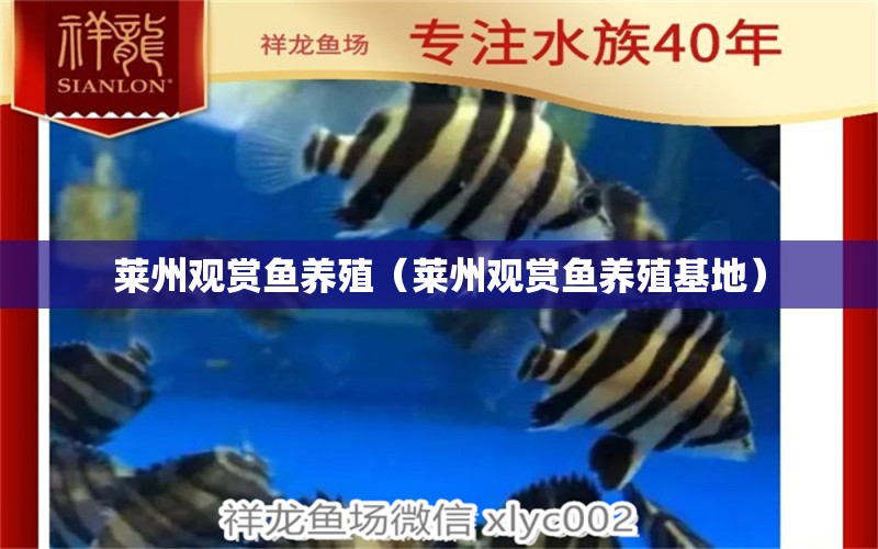 萊州觀賞魚養(yǎng)殖（萊州觀賞魚養(yǎng)殖基地）