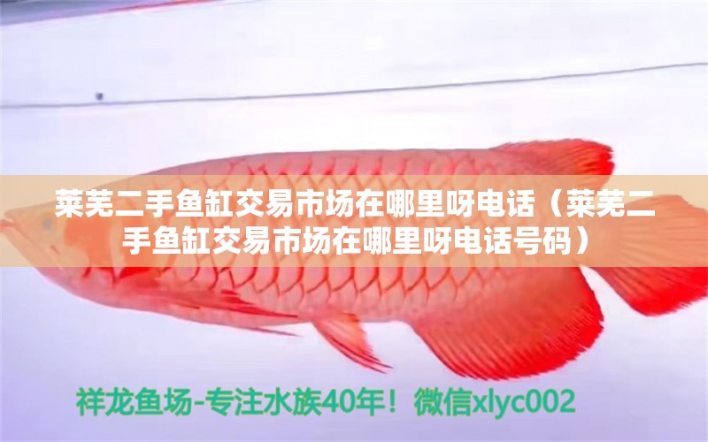 萊蕪二手魚缸交易市場(chǎng)在哪里呀電話（萊蕪二手魚缸交易市場(chǎng)在哪里呀電話號(hào)碼）