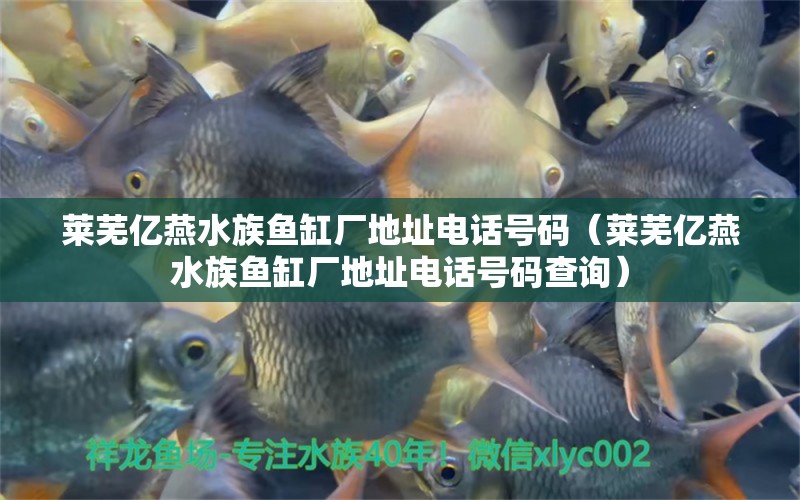 萊蕪億燕水族魚缸廠地址電話號碼（萊蕪億燕水族魚缸廠地址電話號碼查詢）