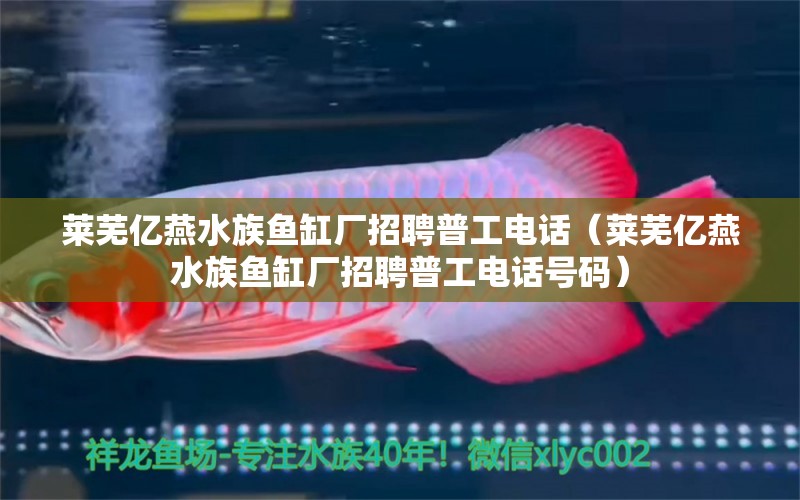 萊蕪億燕水族魚缸廠招聘普工電話（萊蕪億燕水族魚缸廠招聘普工電話號碼） 祥龍水族醫(yī)院