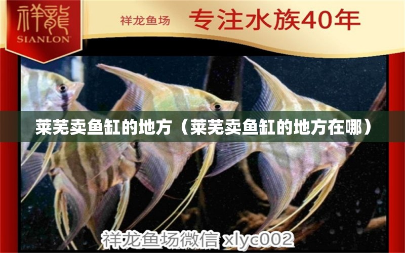 萊蕪賣魚缸的地方（萊蕪賣魚缸的地方在哪） 其他品牌魚缸