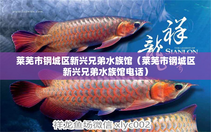 萊蕪市鋼城區(qū)新興兄弟水族館（萊蕪市鋼城區(qū)新興兄弟水族館電話） 全國水族館企業(yè)名錄