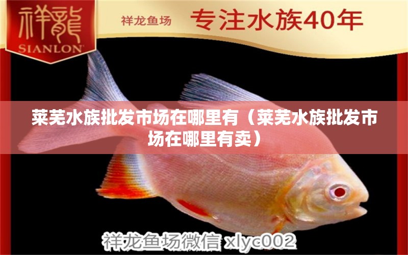 萊蕪水族批發(fā)市場(chǎng)在哪里有（萊蕪水族批發(fā)市場(chǎng)在哪里有賣） 觀賞魚水族批發(fā)市場(chǎng)