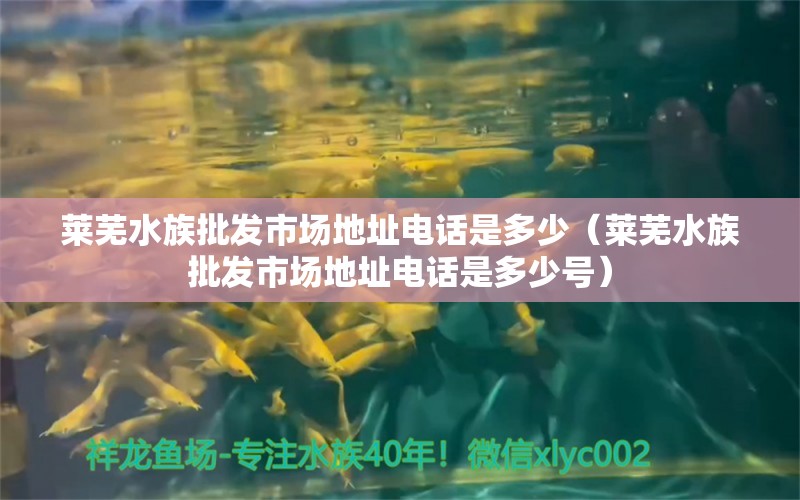 萊蕪水族批發(fā)市場(chǎng)地址電話是多少（萊蕪水族批發(fā)市場(chǎng)地址電話是多少號(hào)）