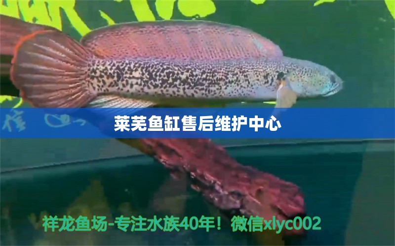 萊蕪魚(yú)缸售后維護(hù)中心 其他品牌魚(yú)缸