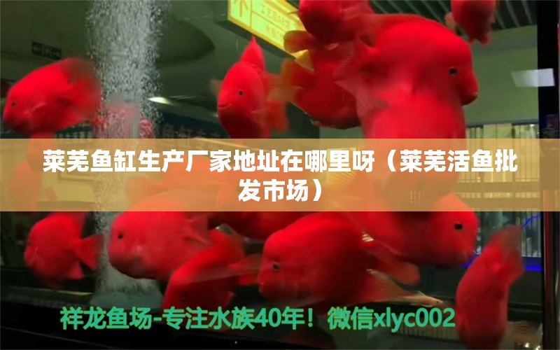 萊蕪魚缸生產(chǎn)廠家地址在哪里呀（萊蕪活魚批發(fā)市場(chǎng)）