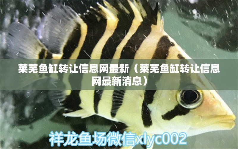 萊蕪魚缸轉(zhuǎn)讓信息網(wǎng)最新（萊蕪魚缸轉(zhuǎn)讓信息網(wǎng)最新消息） 量子養(yǎng)魚技術(shù)