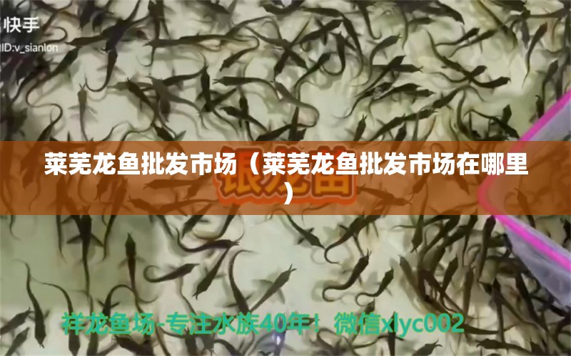 萊蕪龍魚批發(fā)市場（萊蕪龍魚批發(fā)市場在哪里）