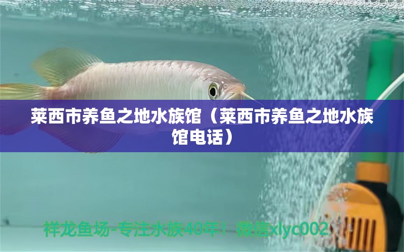 萊西市養(yǎng)魚之地水族館（萊西市養(yǎng)魚之地水族館電話）