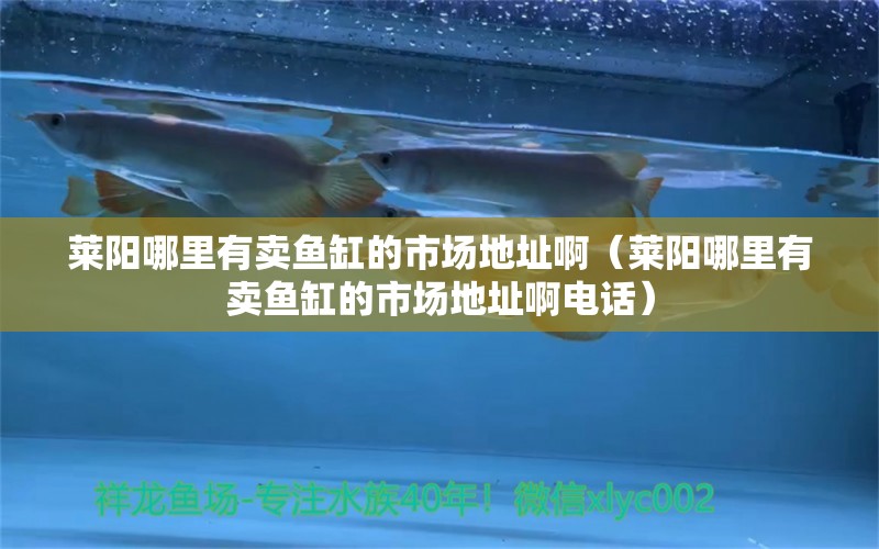 萊陽哪里有賣魚缸的市場地址啊（萊陽哪里有賣魚缸的市場地址啊電話）