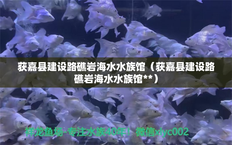 獲嘉縣建設(shè)路礁巖海水水族館（獲嘉縣建設(shè)路礁巖海水水族館**）