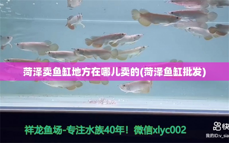 菏澤賣魚缸地方在哪兒賣的(菏澤魚缸批發(fā)) 水族燈（魚缸燈）