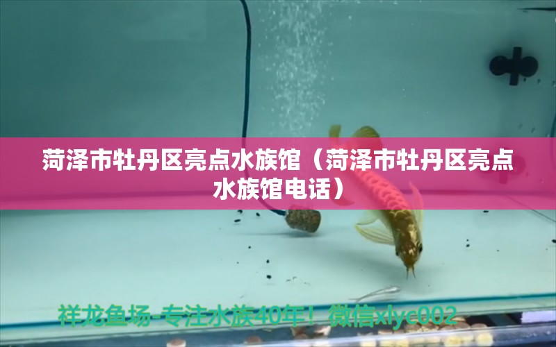 菏澤市牡丹區(qū)亮點(diǎn)水族館（菏澤市牡丹區(qū)亮點(diǎn)水族館電話） 全國(guó)水族館企業(yè)名錄