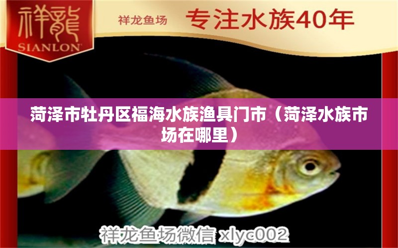 菏澤市牡丹區(qū)福海水族漁具門市（菏澤水族市場在哪里）