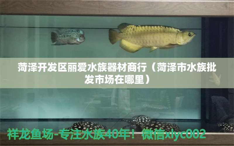 菏澤開發(fā)區(qū)麗愛水族器材商行（菏澤市水族批發(fā)市場在哪里）