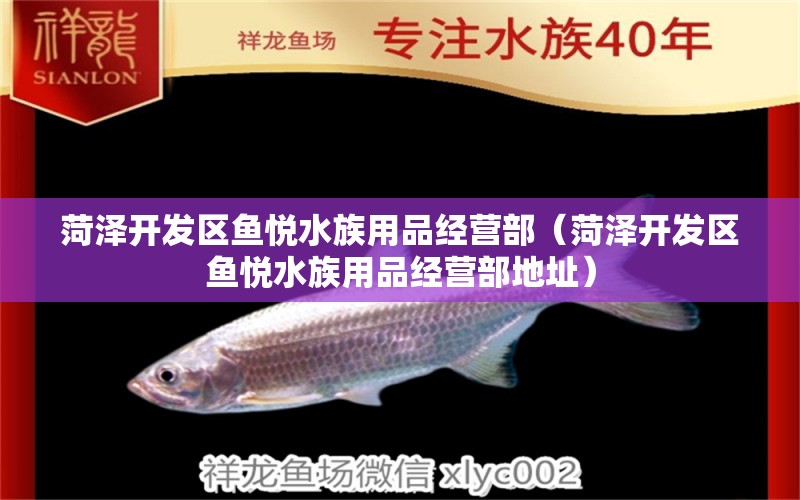 菏澤開發(fā)區(qū)魚悅水族用品經(jīng)營部（菏澤開發(fā)區(qū)魚悅水族用品經(jīng)營部地址）