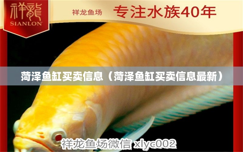 菏澤魚缸買賣信息（菏澤魚缸買賣信息最新） 祥龍水族醫(yī)院